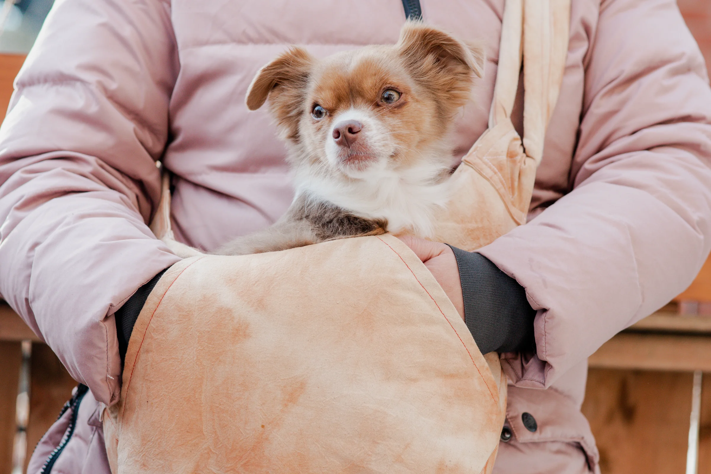 Polar Pouch ecodyed handwarmer pet carrier bag